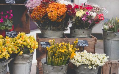 Quels fleuristes pour la décoration de la salle à manger ?