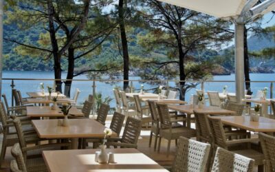 Les différents types de braseros pour les restaurants